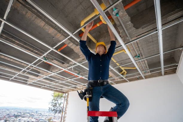 Best Affordable Plumbing Services  in Hastings, MI