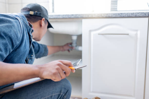 Best Emergency Plumber  in Hastings, MI