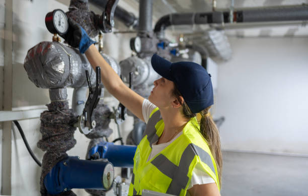 Best Residential Plumbing Services  in Hastings, MI