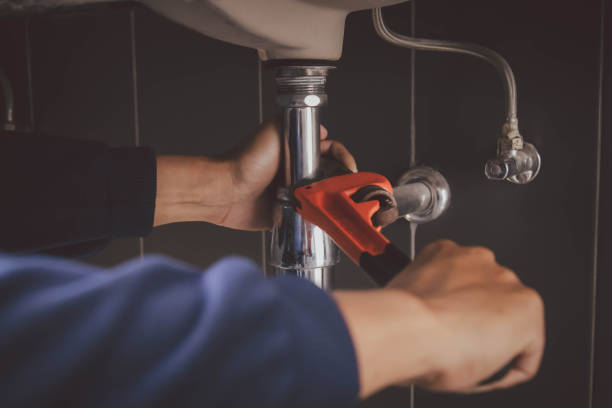 Best Best Plumbers Near Me  in Hastings, MI